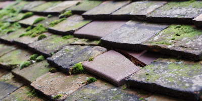 Undy roof repair costs